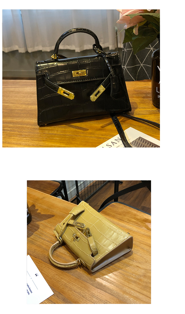 Little Hermes bag_13