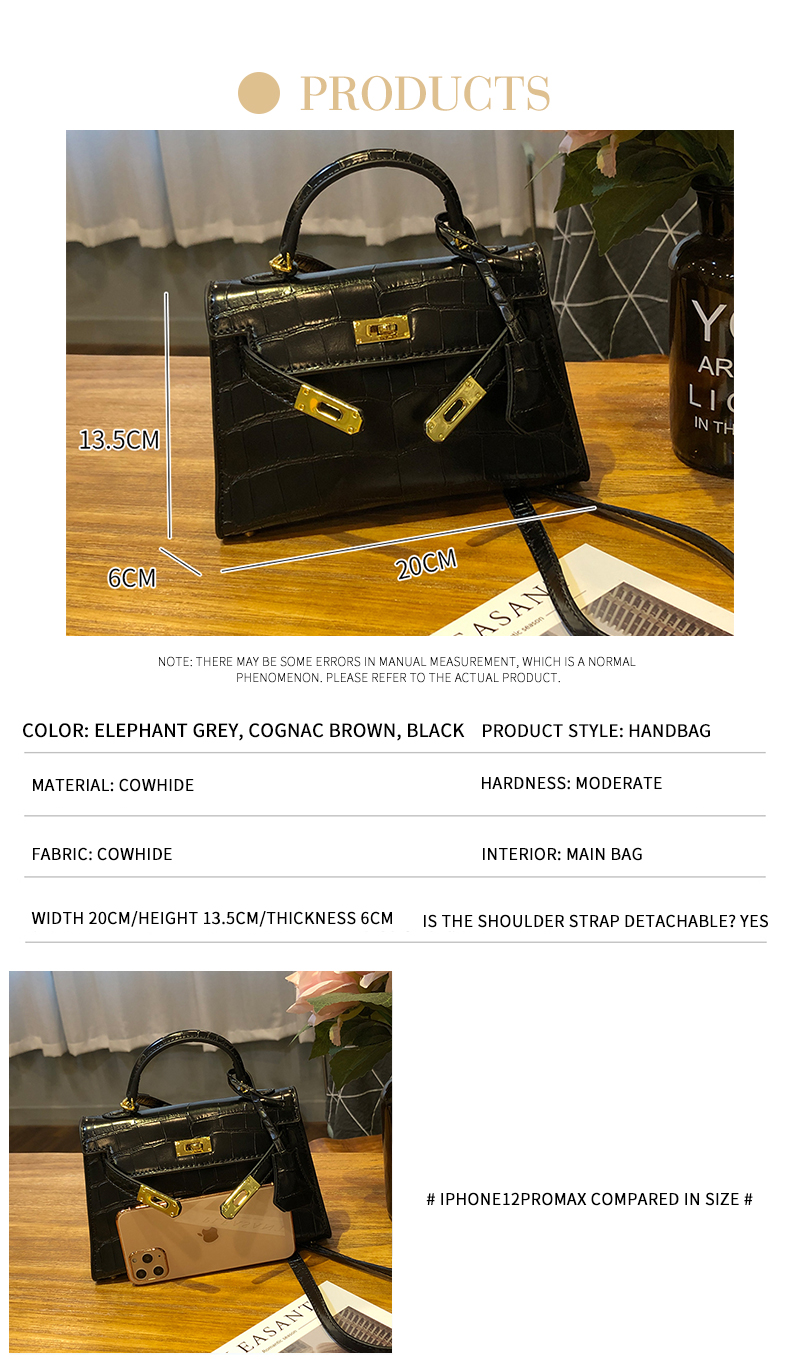 Little Hermes bag_04