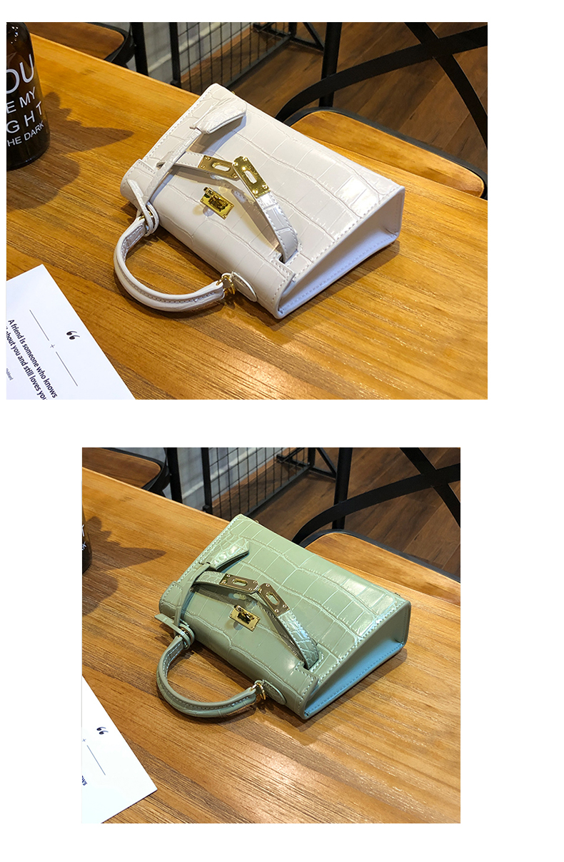 Little Hermes bag_14