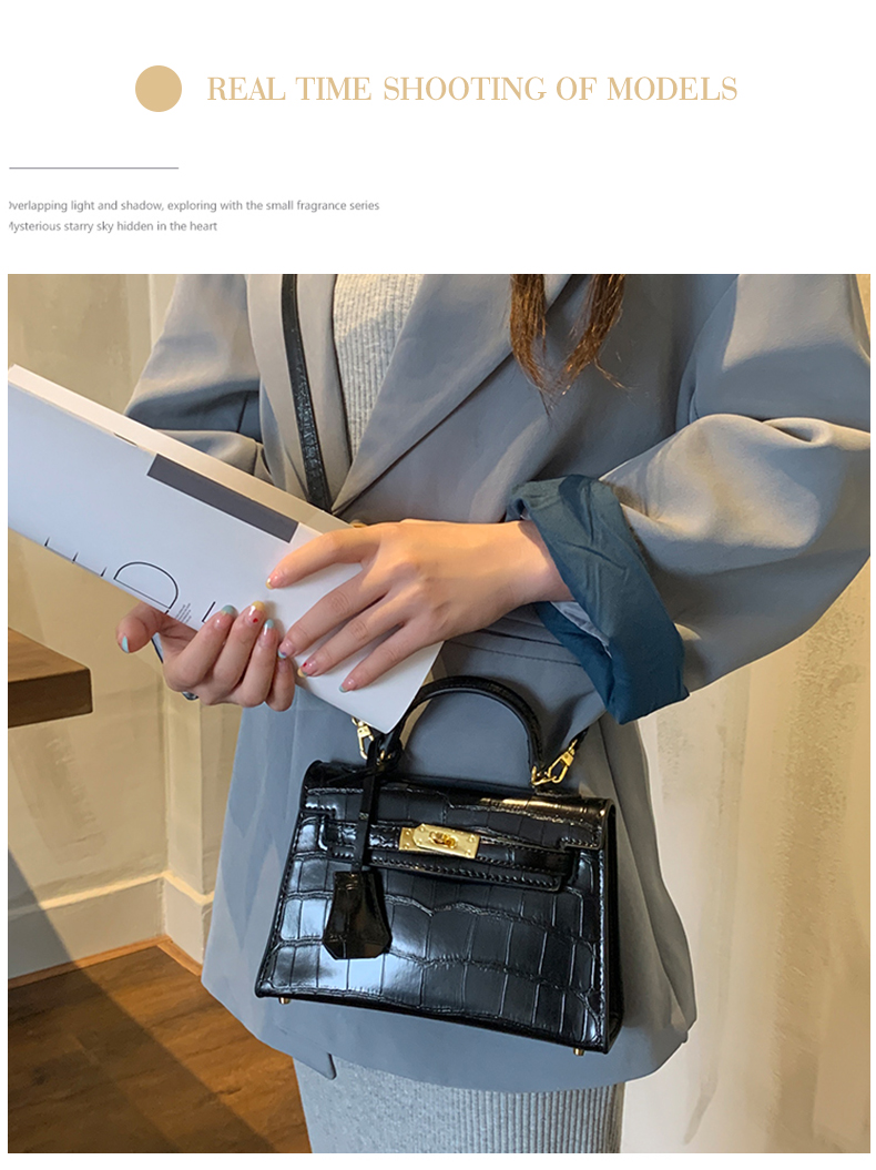 Little Hermes bag_06