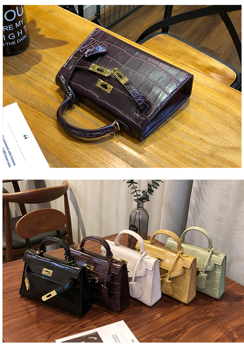 Little Hermes bag_15