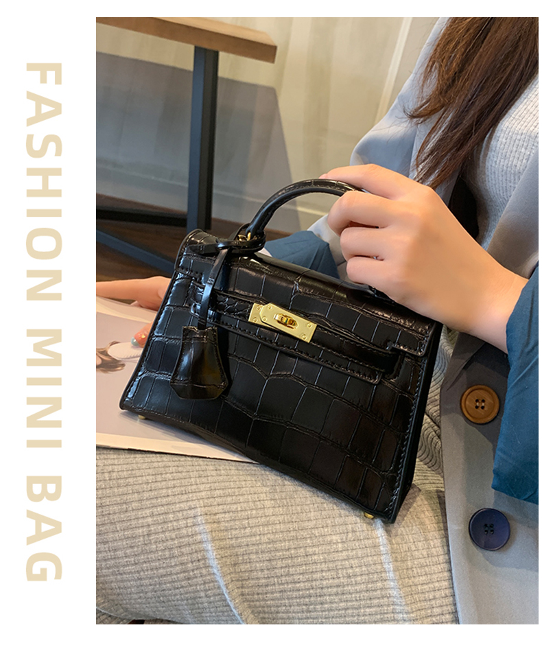 Little Hermes bag_07