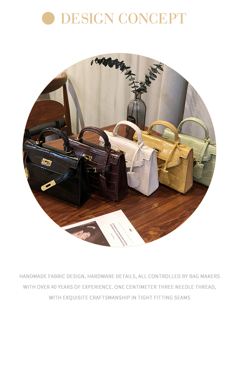 Little Hermes bag_02