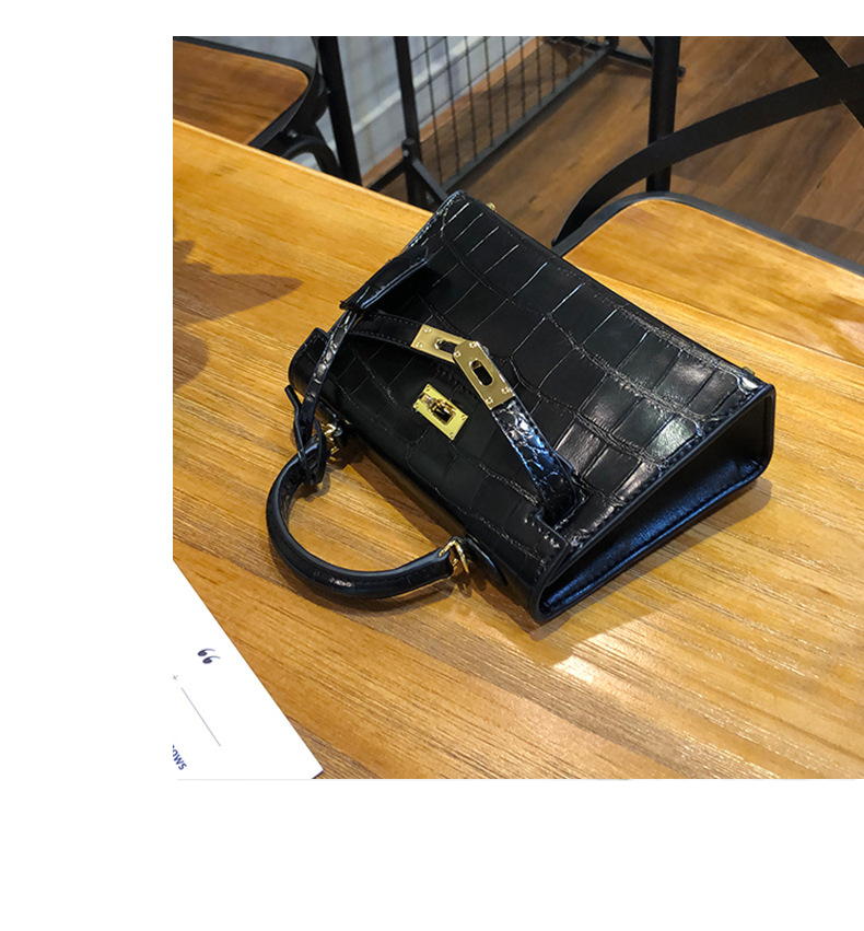 Little Hermes bag_16