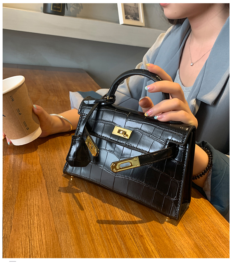 Little Hermes bag_08