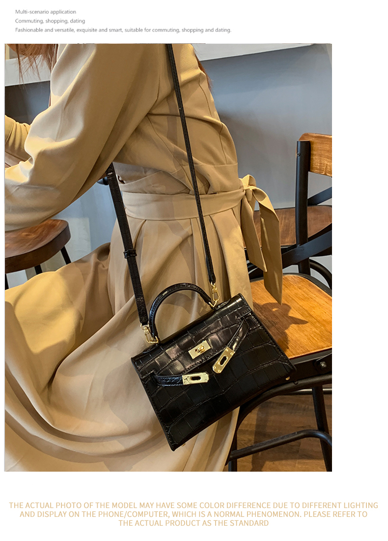 Little Hermes bag_09