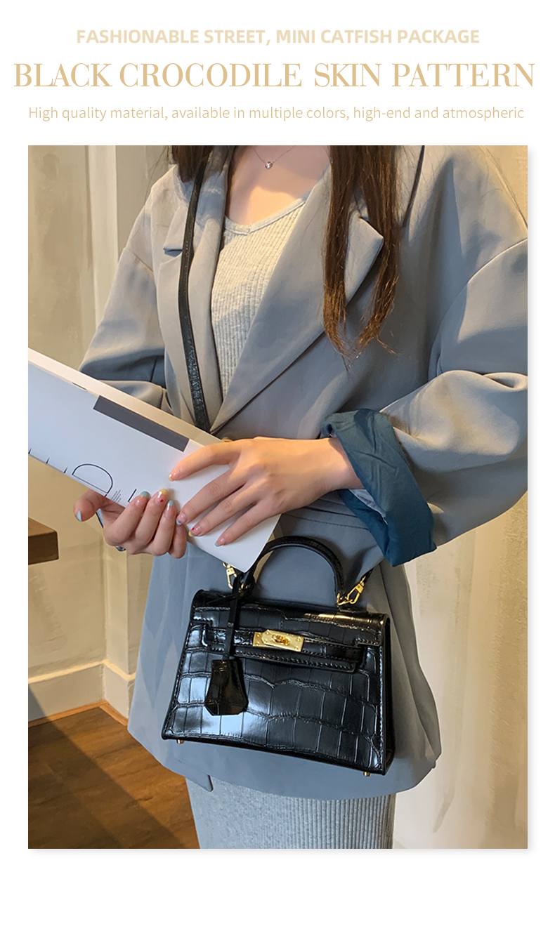 Little Hermes bag_01