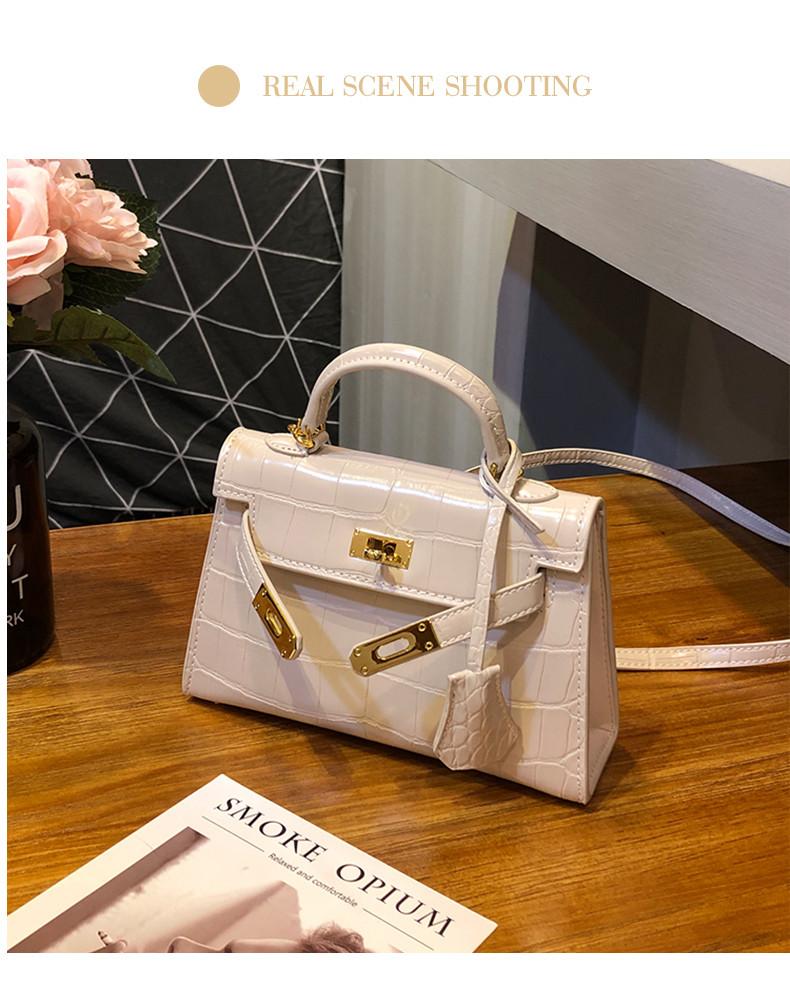 Little Hermes bag_10