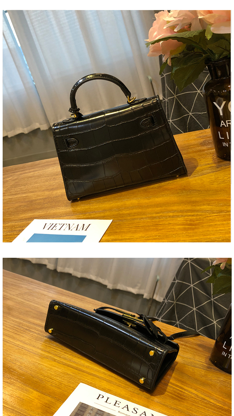 Little Hermes bag_12