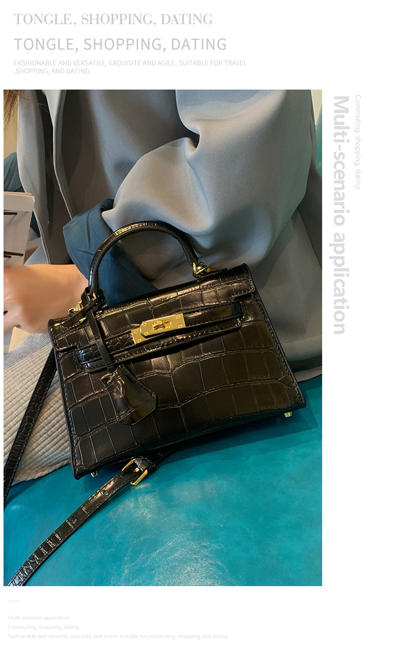 Little Hermes bag_03